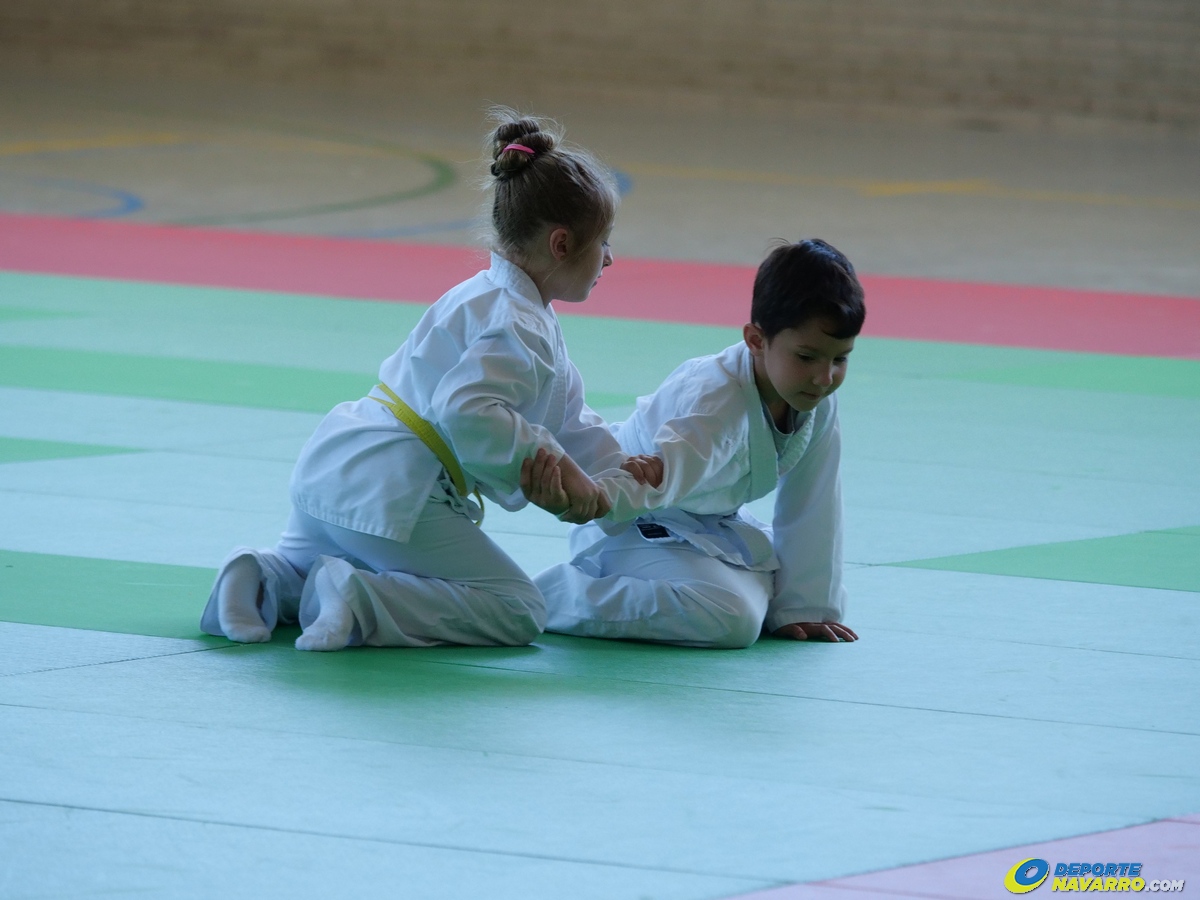 JUEGOS INFANTILES DE JUDO. PAMPLONA 28-05-22 - FOTOS